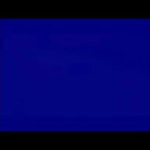 Meet your Posher, Hugo